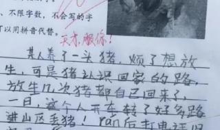 我的爸爸,作文200个字